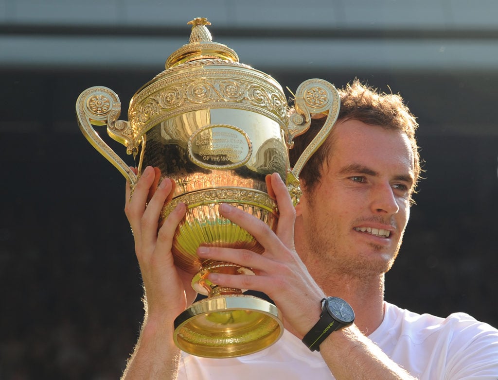 Tennis - 2013 Wimbledon Tennis Championships - Men's Singles Final
