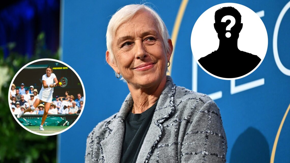 Martina Navratilova comaored a WTA player to three-time Grand Slam champion Lindsay Davenport