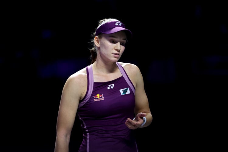 Photo by Katelyn Mulcahy/Getty Images for WTA