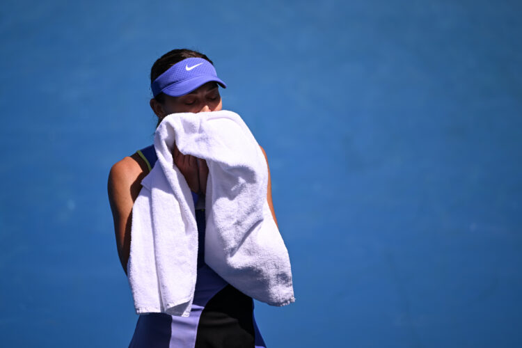 Photo by Daniel Kopatsch/Getty Images